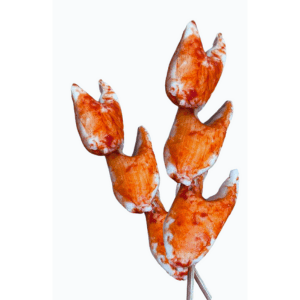 Lobster Claw