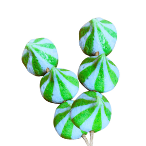 Spinach Cheese Dumpling